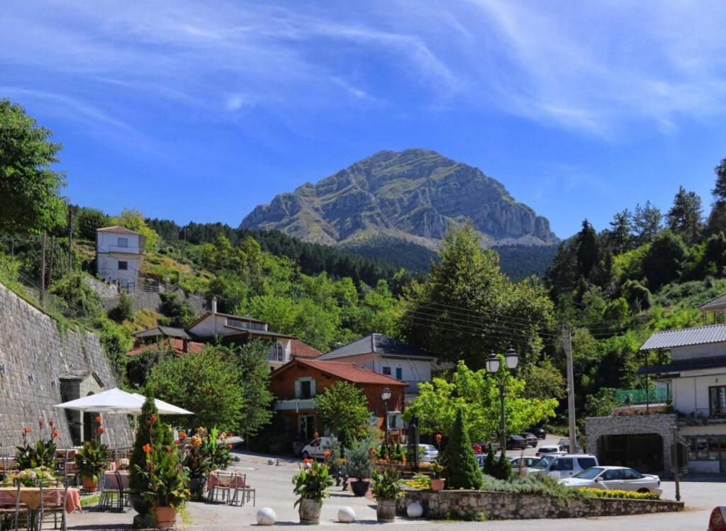 Armonia Pramanta Mountain Tzoumerka Exteriör bild